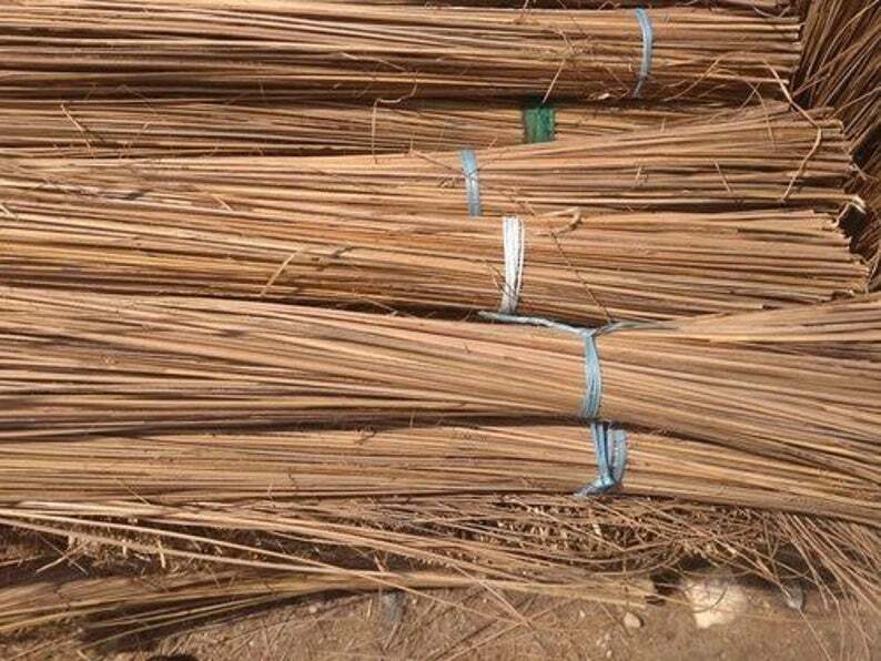 Real Coconut Leaf Sticks for Decorations Dried Sticks free shipping 100% organic