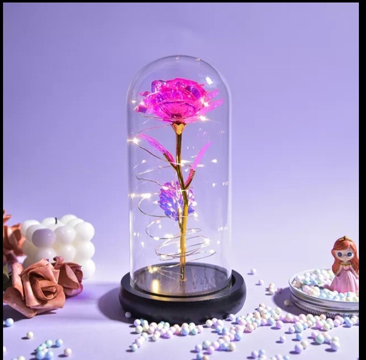 Valentine Gift Beauty And The Beast Preserved Roses In Glass Women Girls.