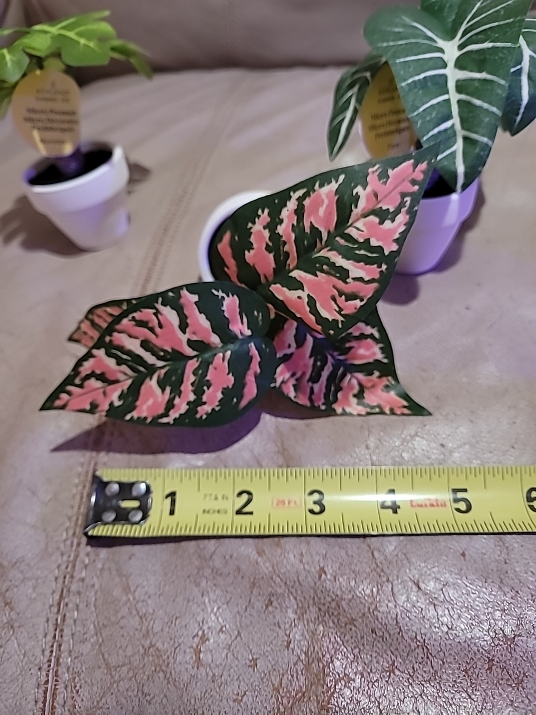 3 x Ashland Artificial Micro Plant Deco Spring Ceramic Potted 4″ H