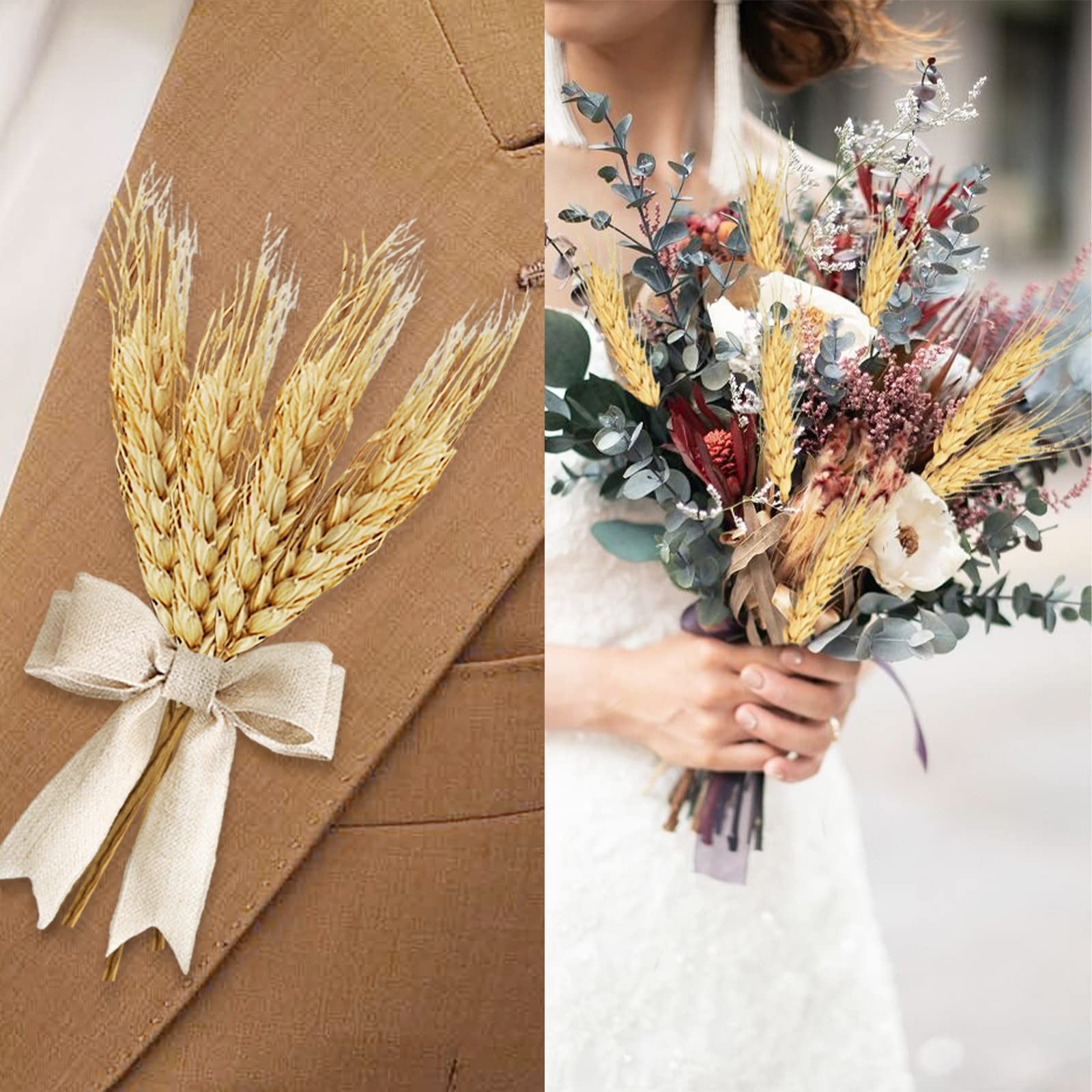 17.7 inches Dried Wheat Stalks, 100 Stems Dried Flowers Natural Wheat