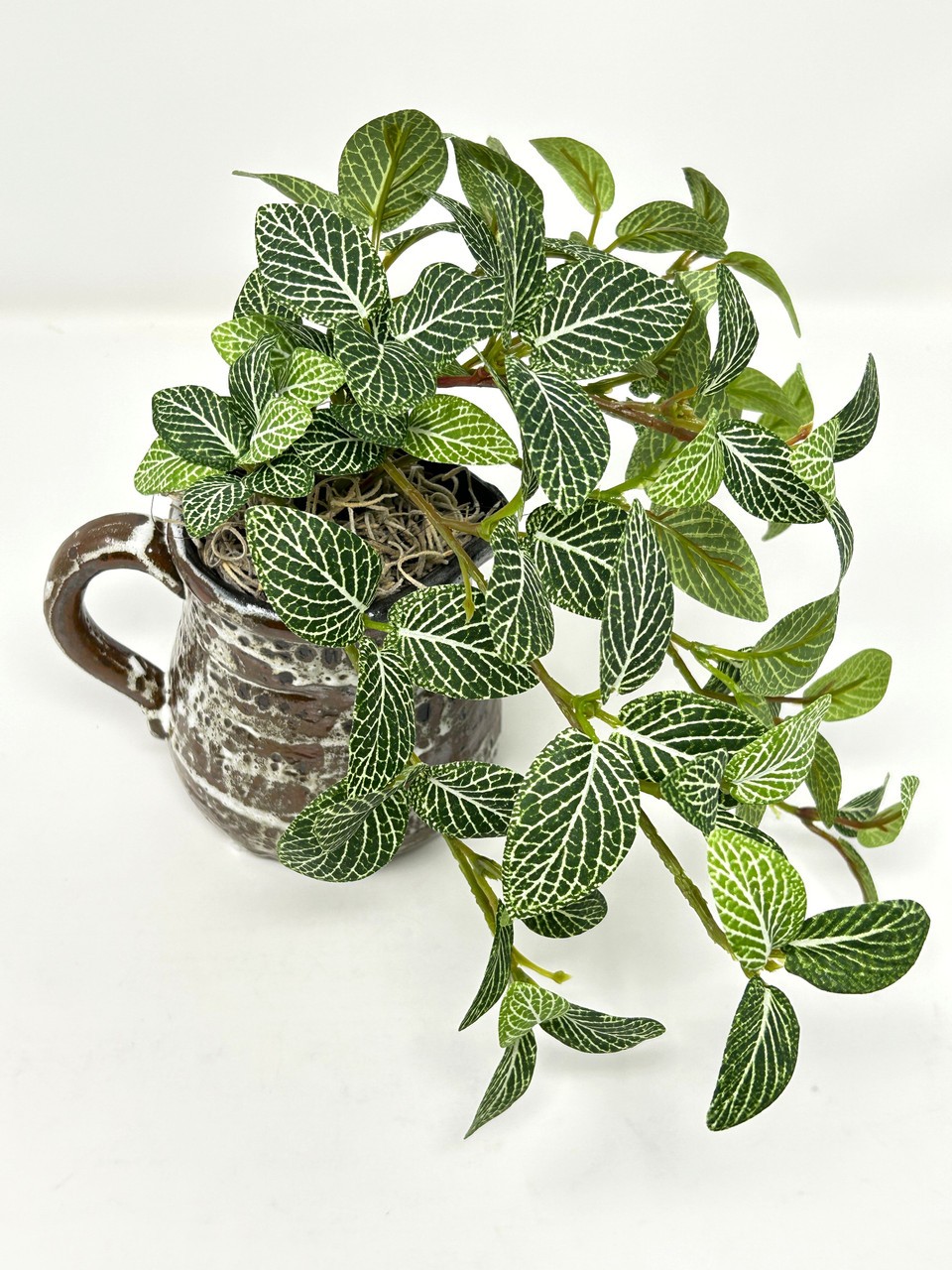 8″ Small Artificial GREEN FITTONIA NERVE faux Silk plant potted in brown Ceramic