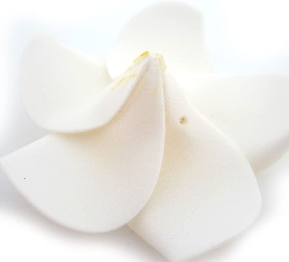 100Pcs White Foam Hawaiian Frangipani Artificial Plumeria Flower Petals Cap Hair