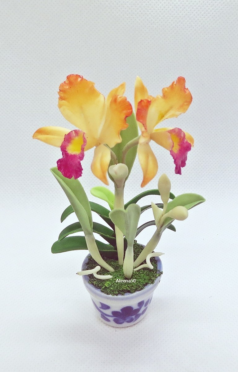 US Stock 4″H Handmade Miniature Air-Dry-Clay-Crafted Catalunya Orchid Arranged.