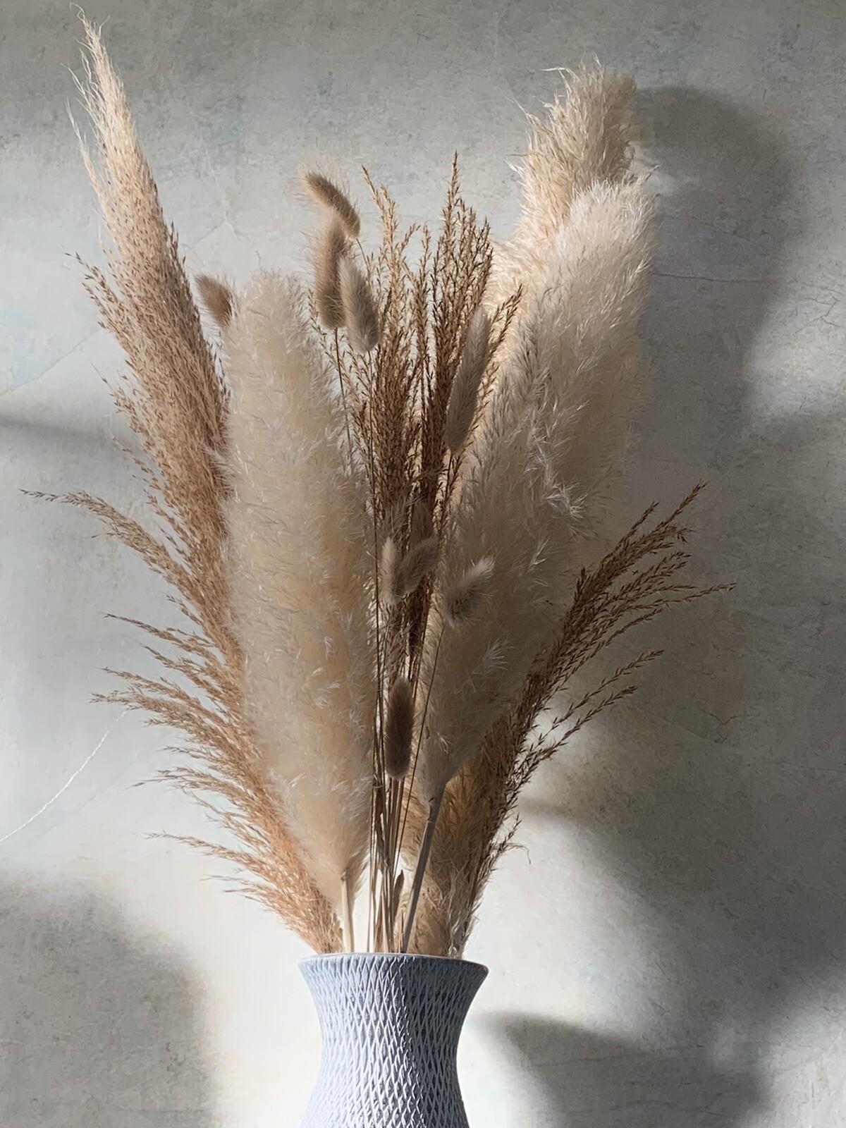 Dried flowers- Box of 12 (36”) natural white beige pampas grass