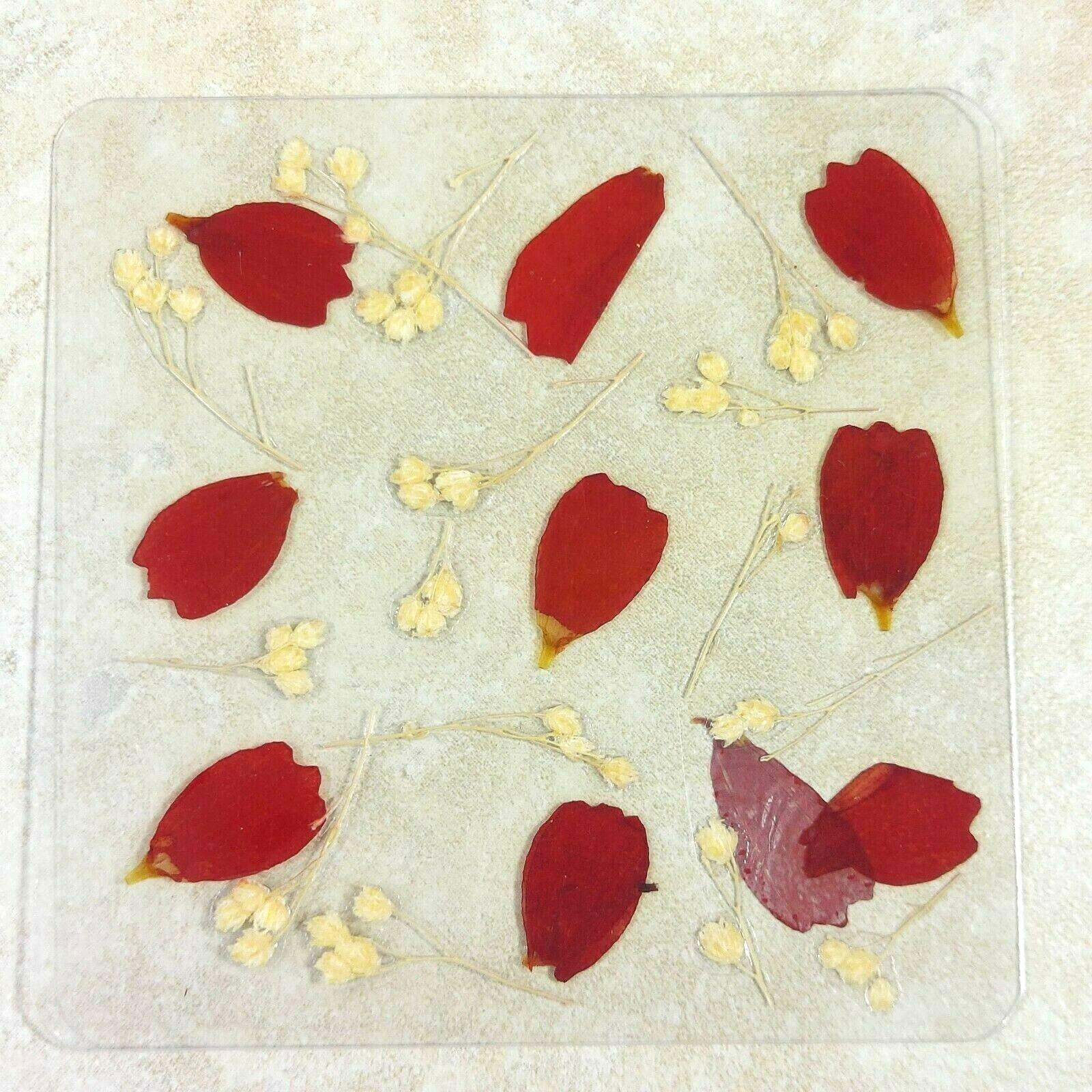 Dried Pressed Flowers Natural Flower Petal Set Resin Art Design Home Décor Gift