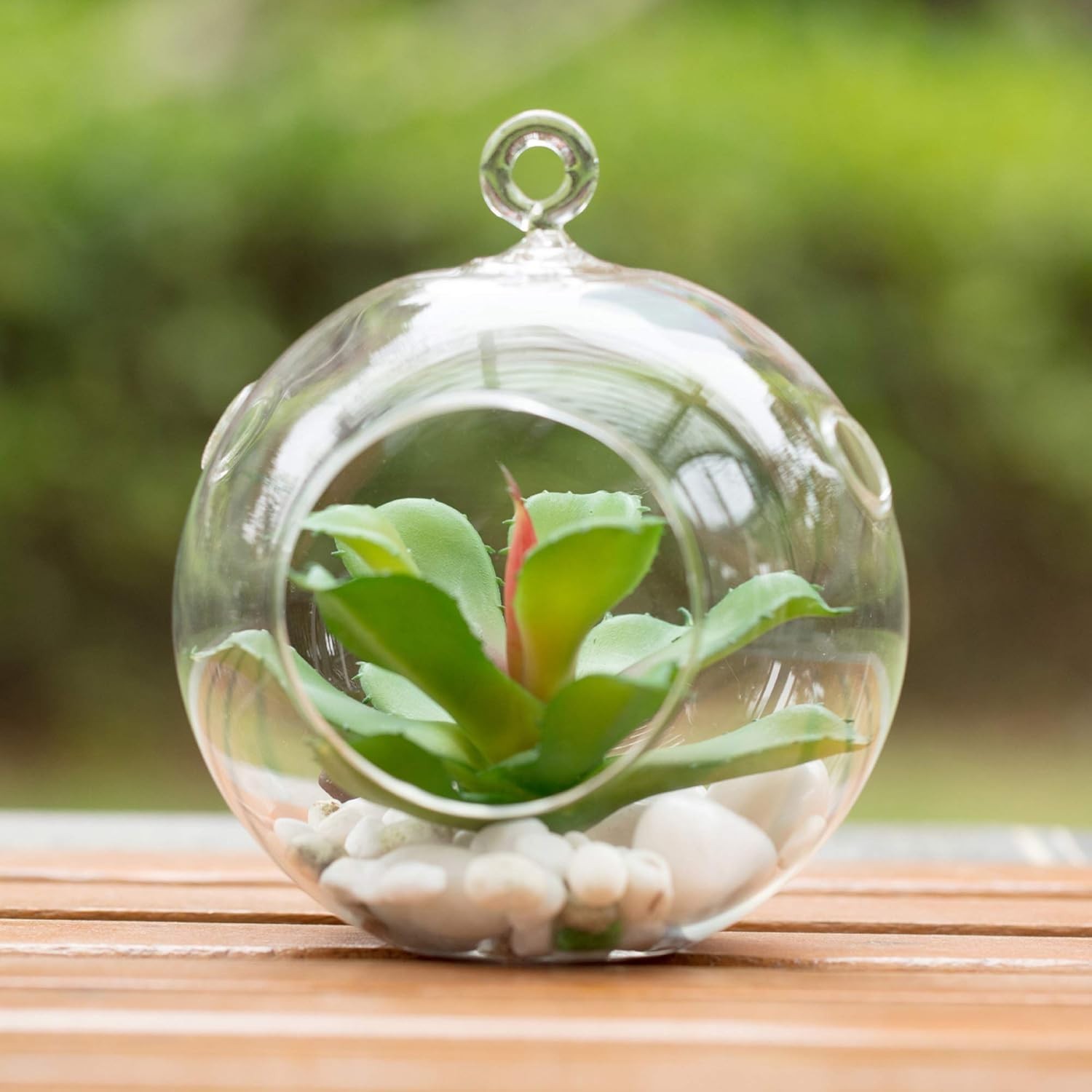 Elegant DIY Hanging Terrarium Globe – 6″ Glass Vase for Indoor or Outdoor Decor