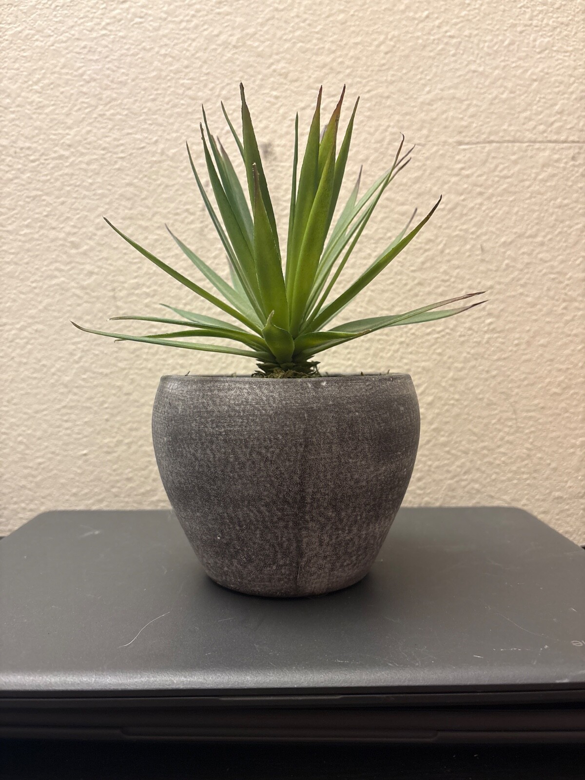 Spiky Green Artificial plant | Grey Pot | No visible Styrofoam