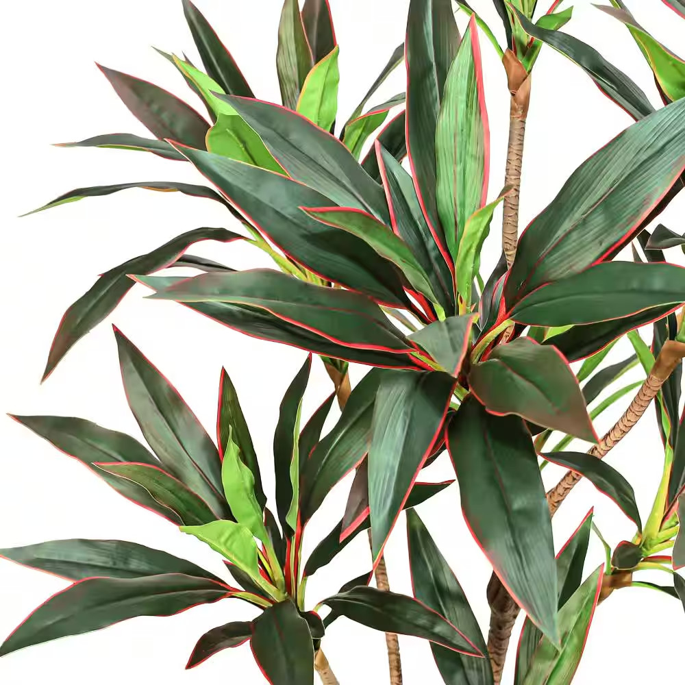 5 Ft. Real Touch Green Red Dracaena Tree Plant in Black Pot