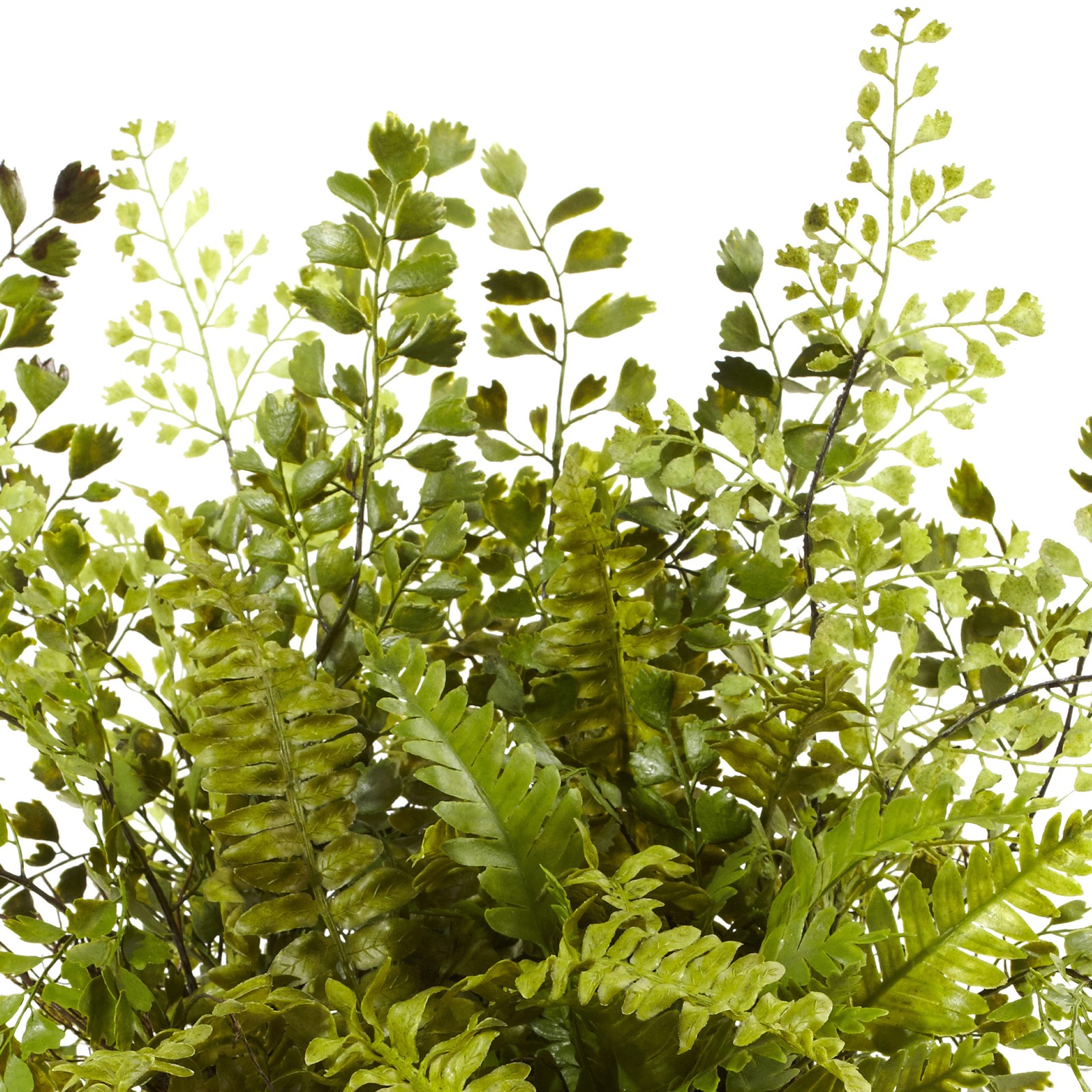 Nearly Natural Mixed Fern with Twig and Moss Basket in Green/Brown