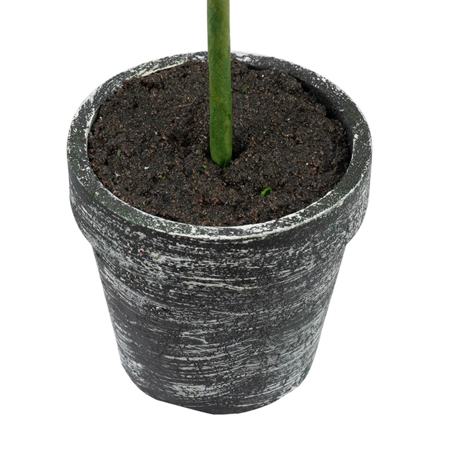 Potted Artificial Boxwood Mini Topiary Lush Green Decorative Plant Set for