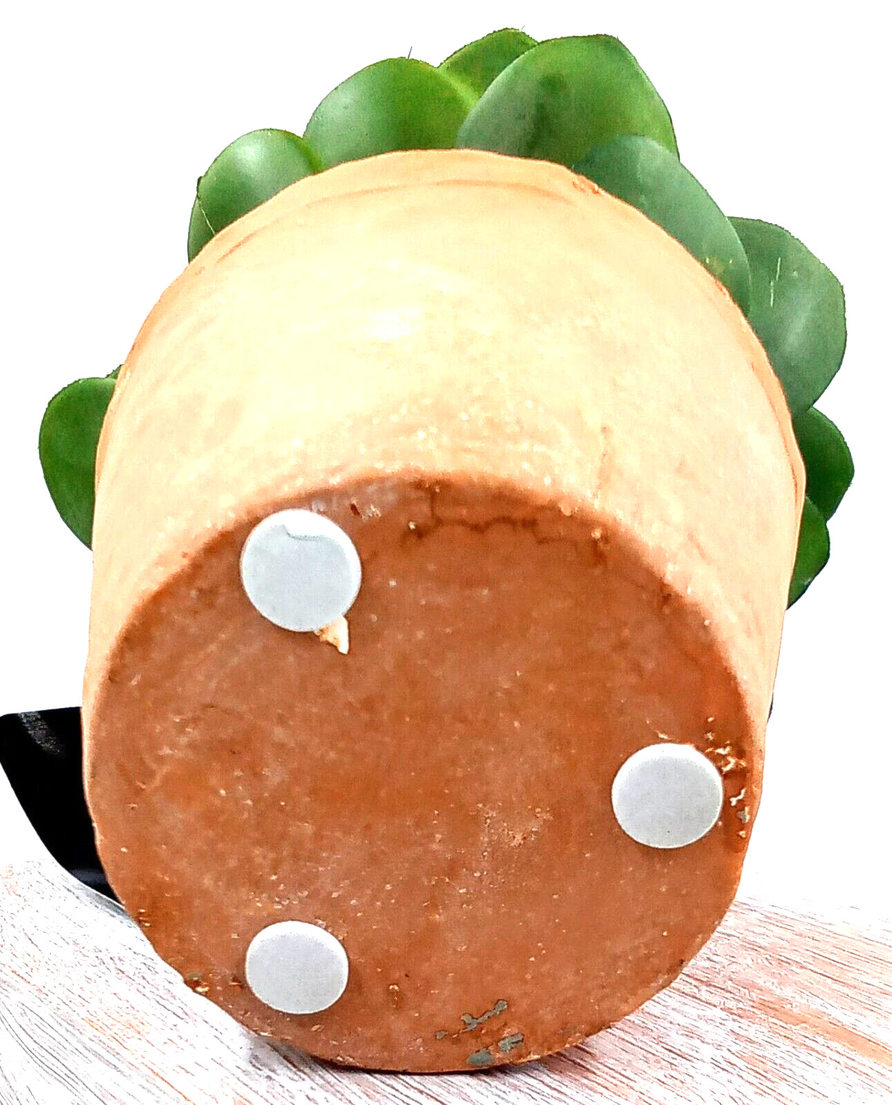 Succulent Clay Pot Planter Faux Dirt Artificial Plastic Green Floral Indoor 6×4″