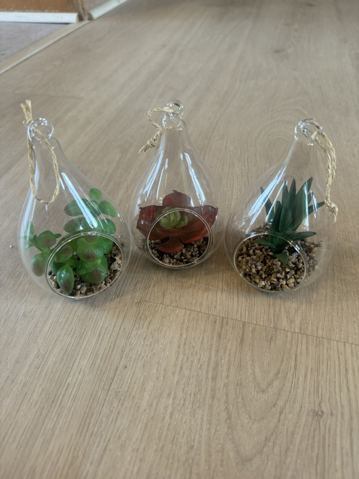 Set of 3 Plastic & Porcelain Succulents Green White 3×2 inches And 3 Hanging