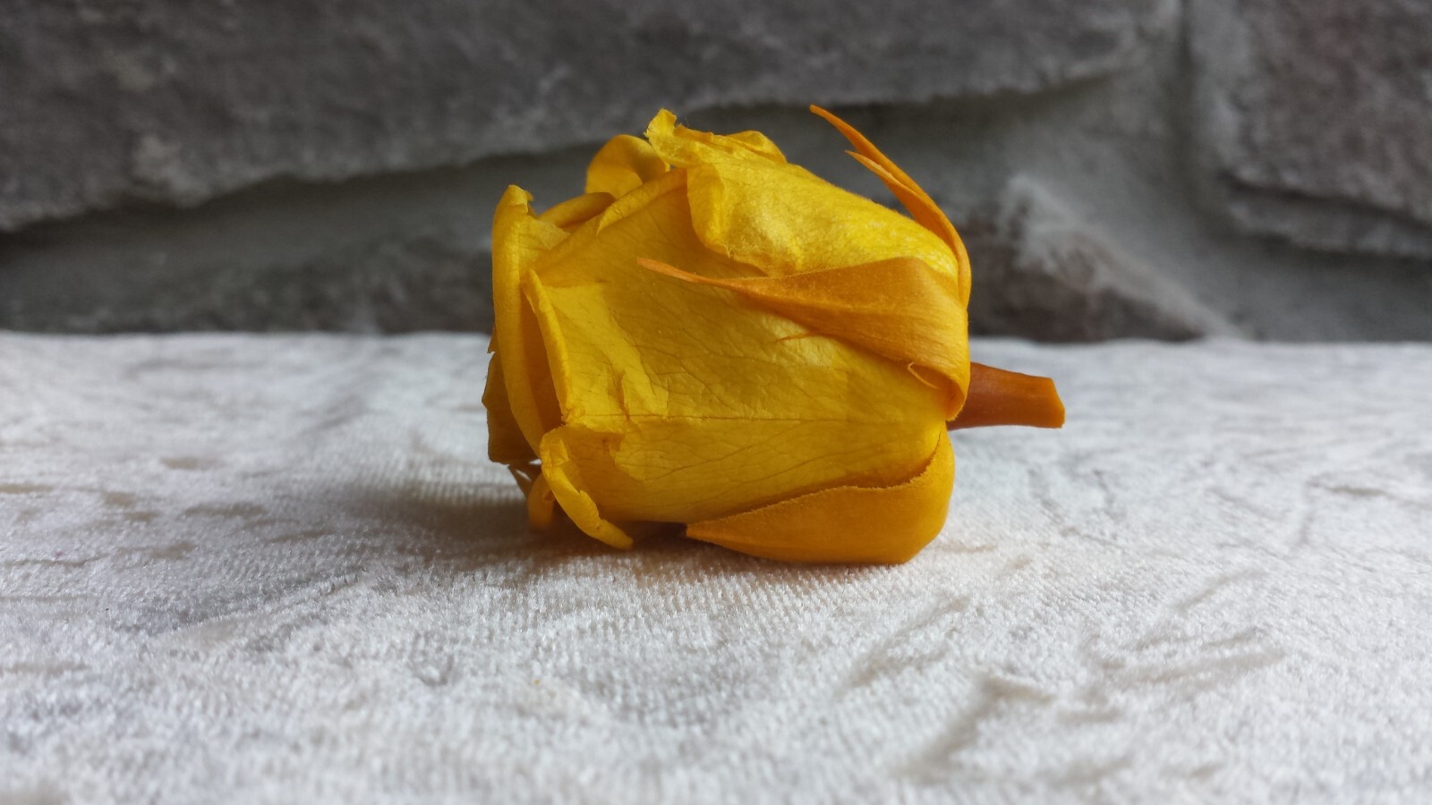 12 Yellow Rose Heads Flowers Silk Soft Artificial Fake DIY Craft Brand New