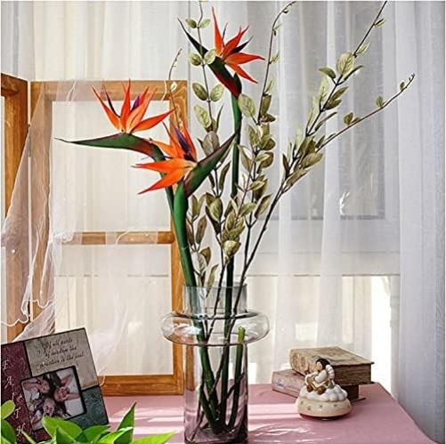 3 PCS 32 Inch Orange Red Large Bird of Paradise Permanent Artificial Flower, …