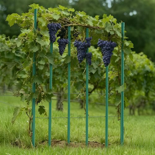 Garden Stakes, 10 Pack, 93.7 inch, Plastic Coated Metal Tomato Stakes, Garden St