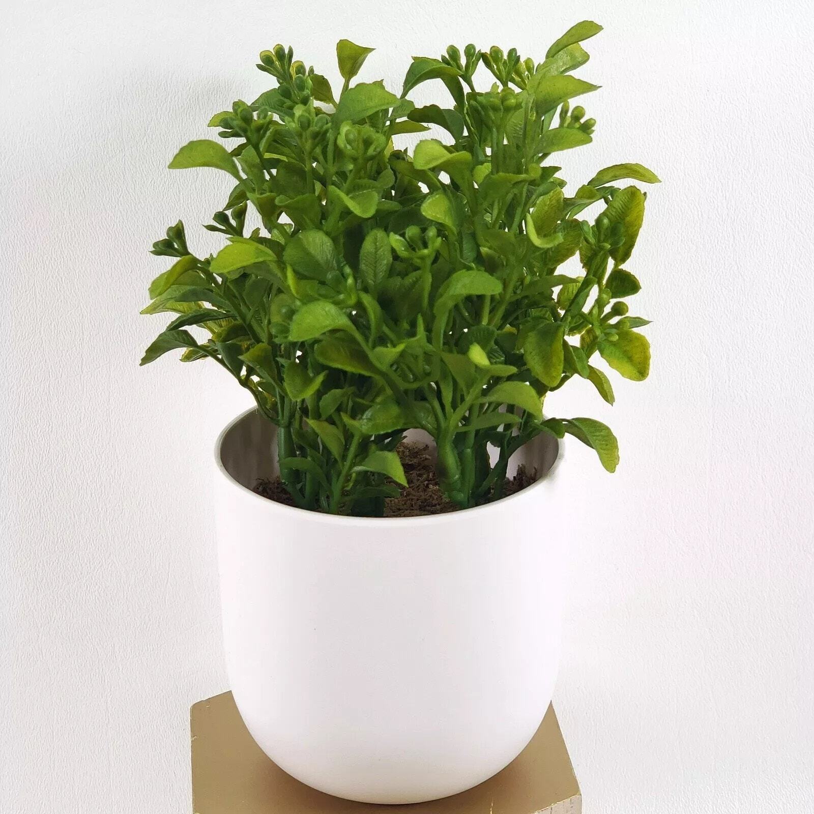 Threshold 8″ Faux Boxwood Potted Plant Home Office Decor NEW by Target