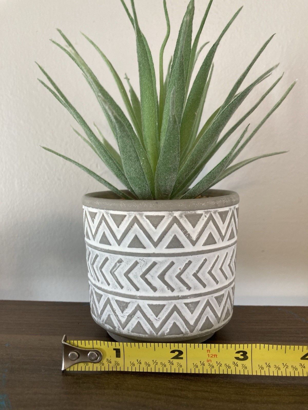 Succulent Tabletop Decor