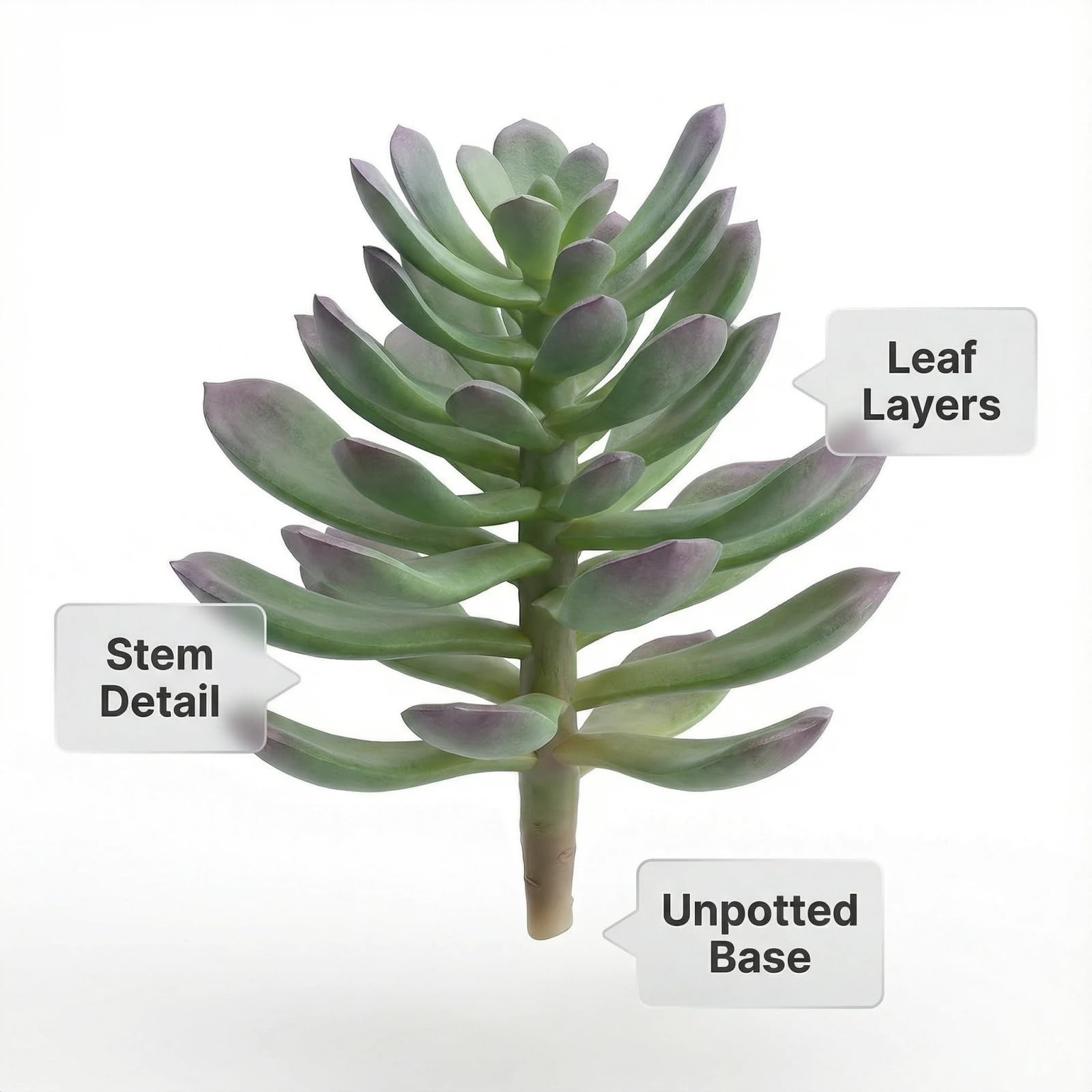 18 Pack Artificial Succulent Plants Realistic Unpotted Faux Style B18 DIY