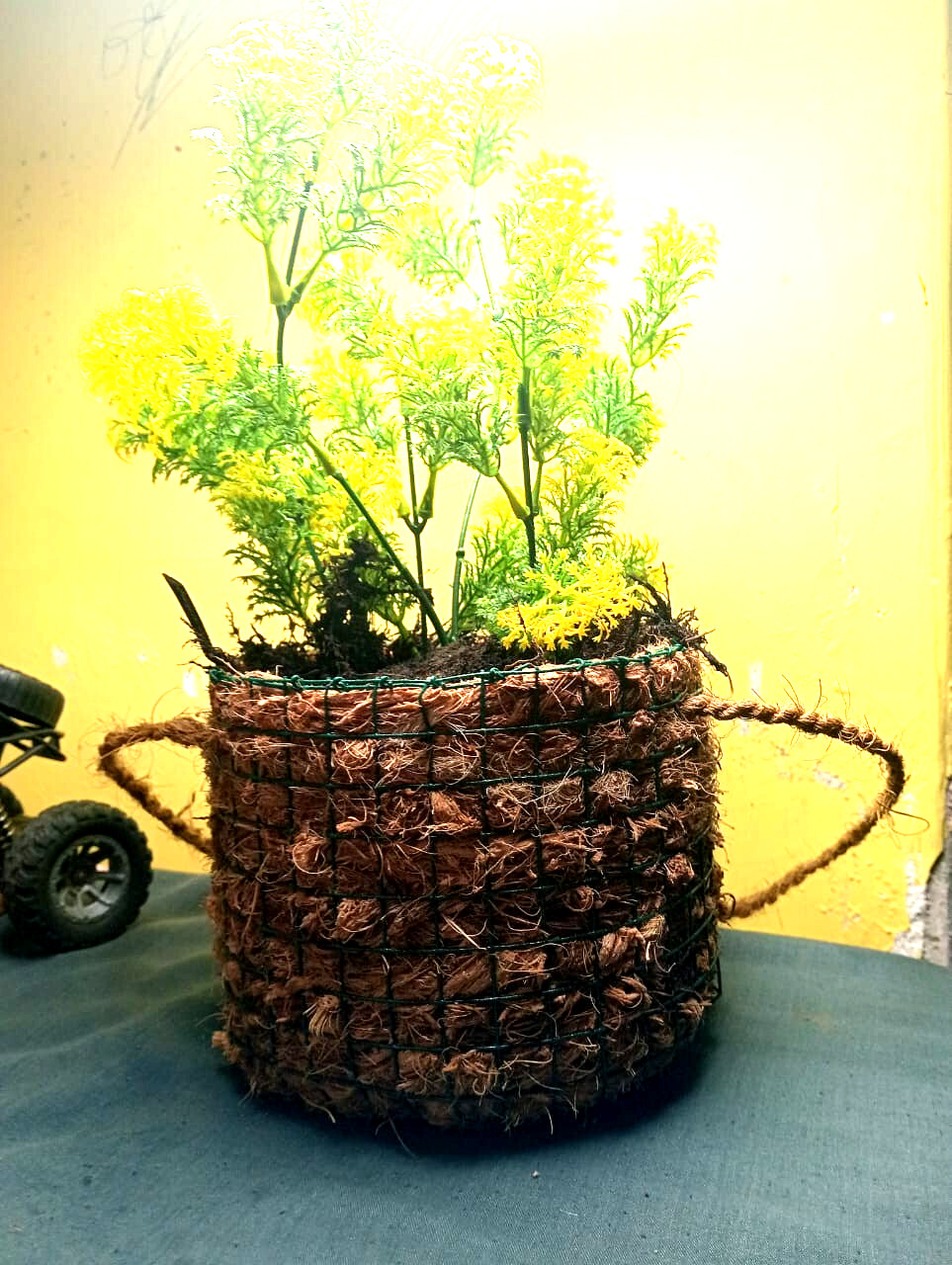 Cocopit pot-natural coconut fiber planter