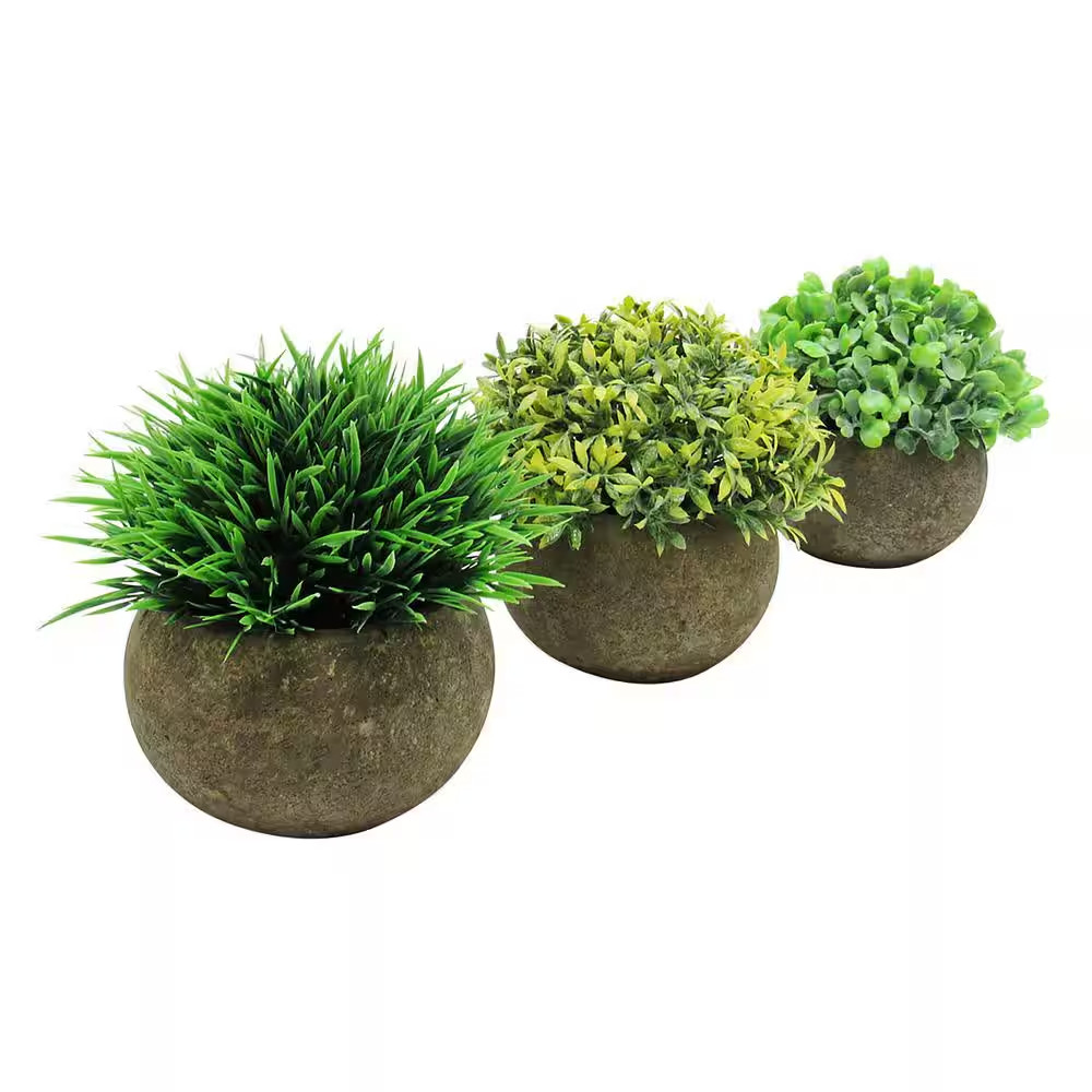 4.5 In. Frosted Green Artificial Boxwood Grass Leaf Succulent Mix Small Plant To