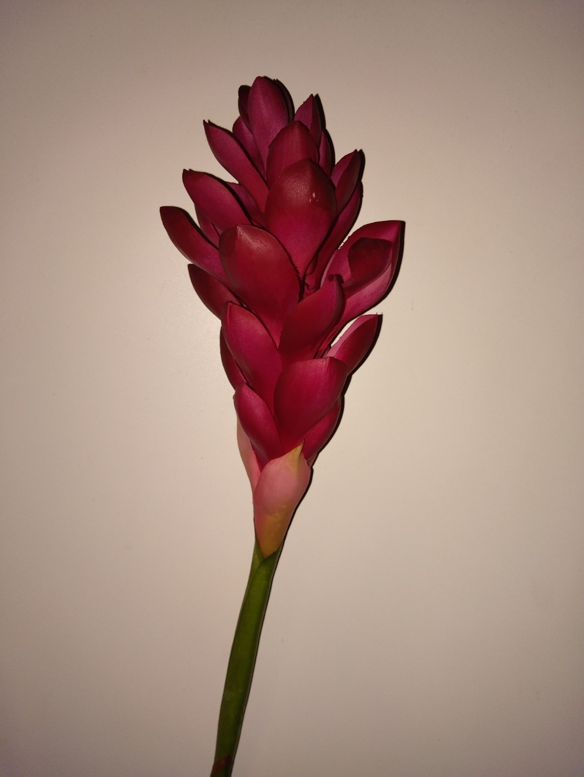 Ginger lily stem. Silk arrangements tropical Hawaiian flowers CRANBERRY