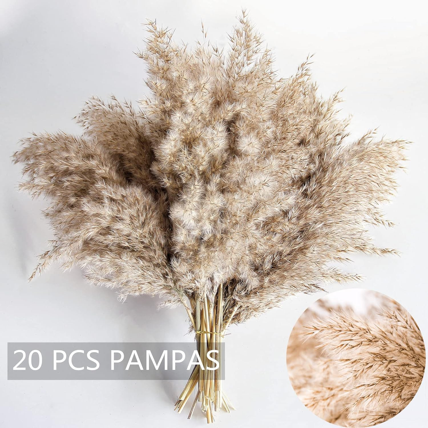 Pampas Grass Decor, Natural Dry Pampas Grass Small, Short Pampass Bulk for Farmh