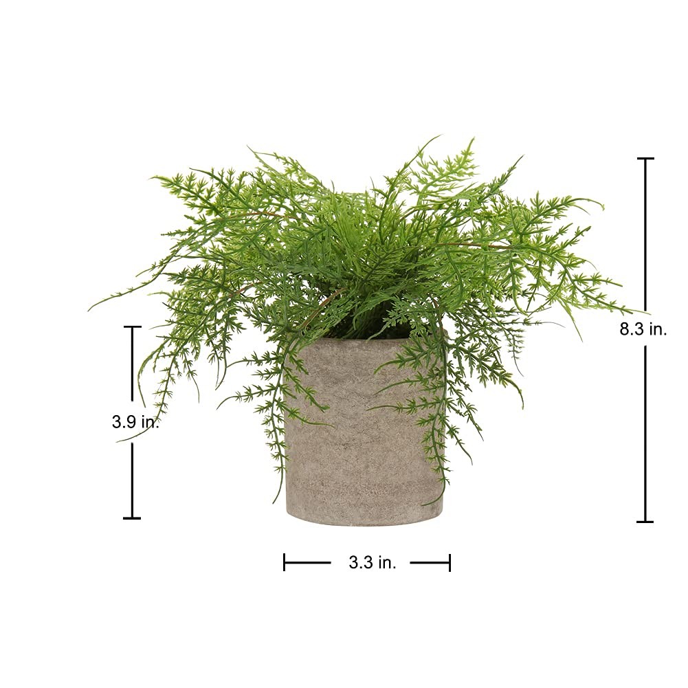 Small Fake Plant Potted Plants Artificial Decor Silk Asparagus Ferns Plant Faux