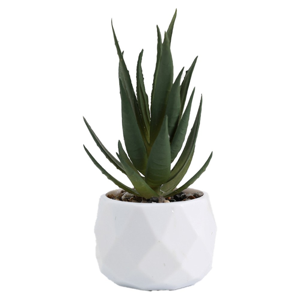 3pcs Elegant Artificial Succulent Plants for For home and Office Display