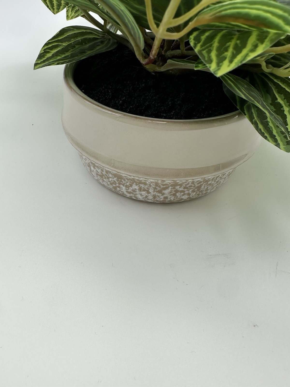 Ceramic Potted Faux Artificial Plant 6 In Height 15 In Length – Brand New!