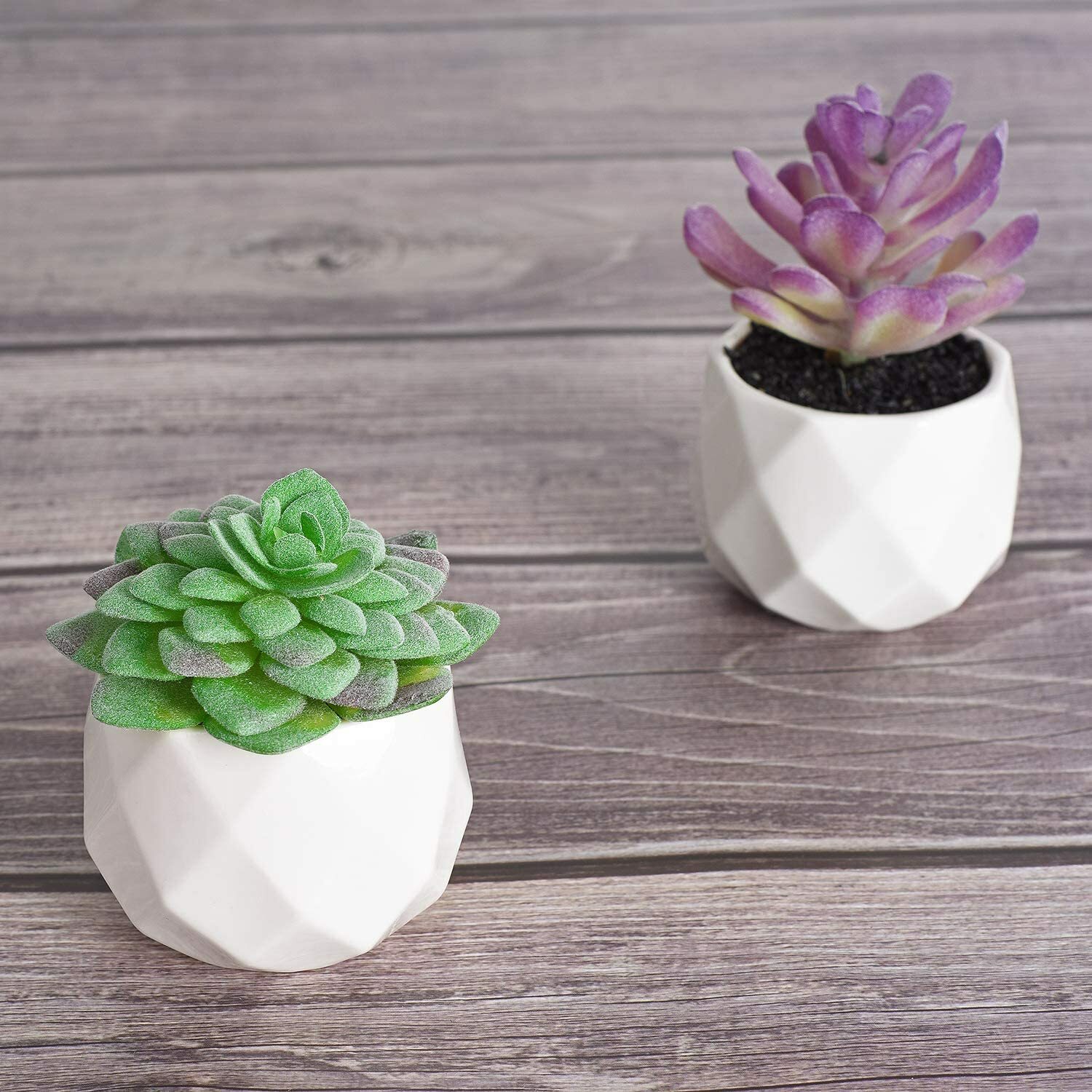 6 Pack Artificial Succulent Plants Lvydec Mini-Sized Fake Succulent Plants (E)