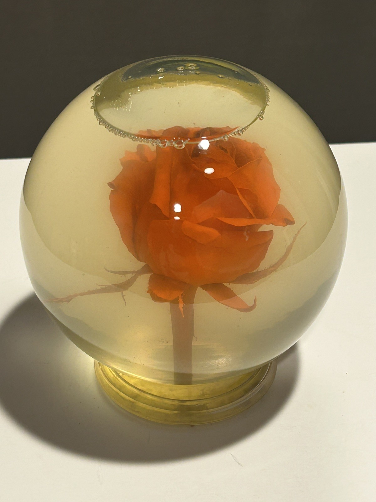 Vintage Liquid Filled Orange Rose Display Globe Preserved Flower Decor