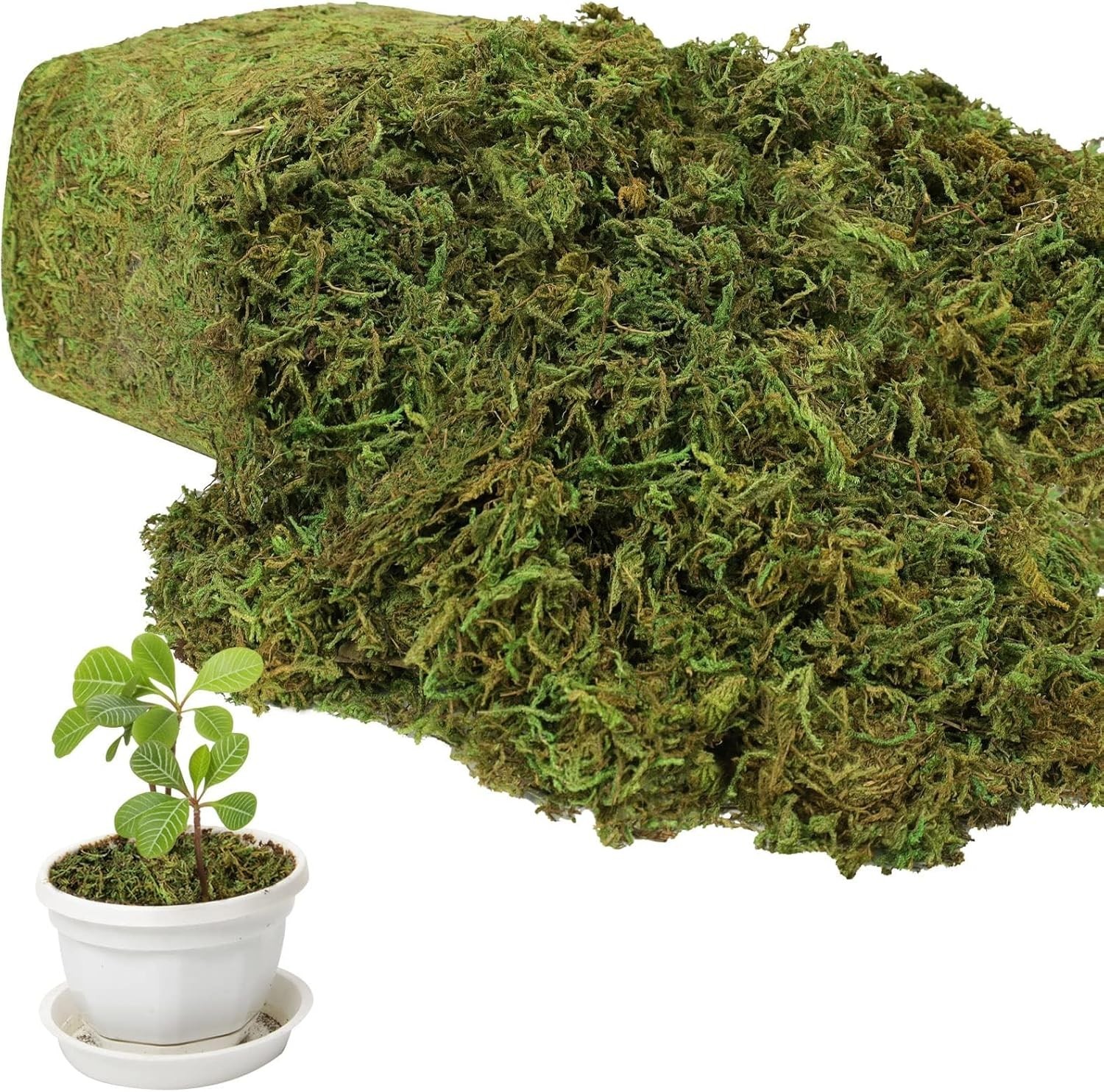 Musgo artificial de gran capacidad de 17.6 oz para plantas en maceta, césped.neu