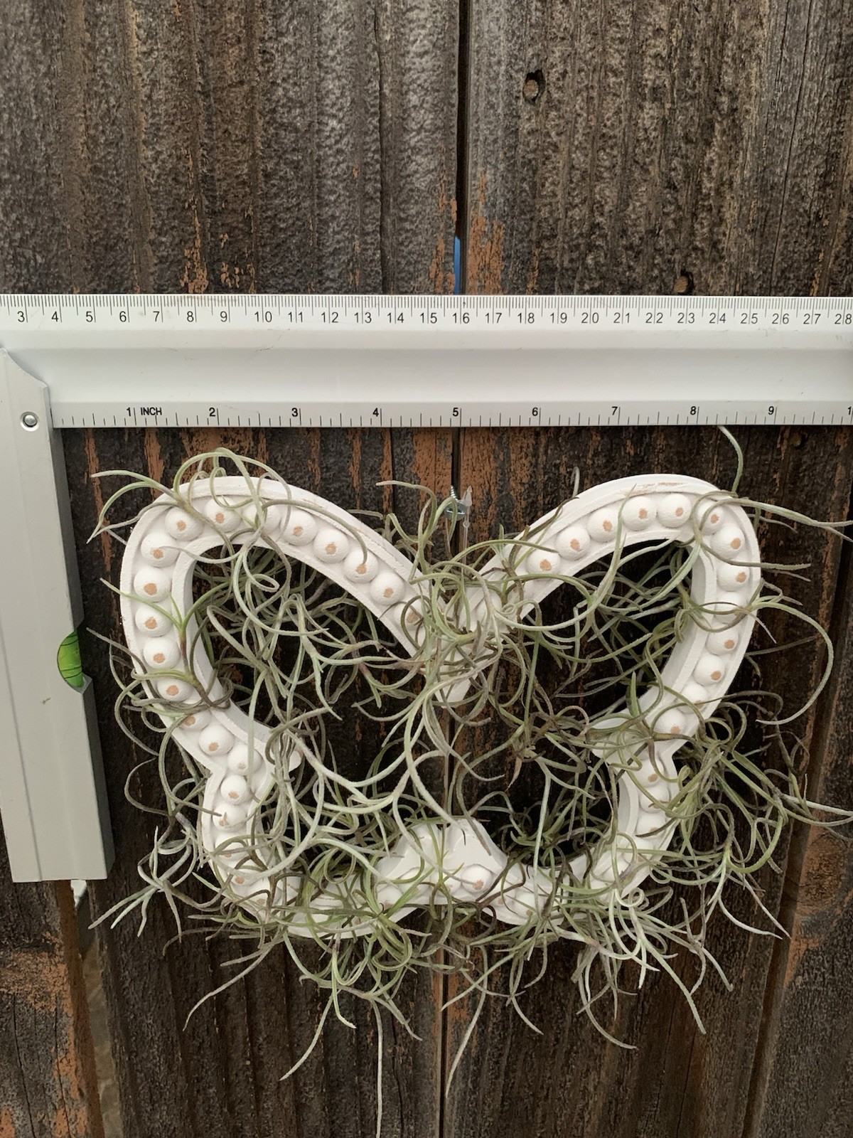 Butterfly Wall Hanging Wreath Spanish Moss Wood & Moss White/Green 10 in