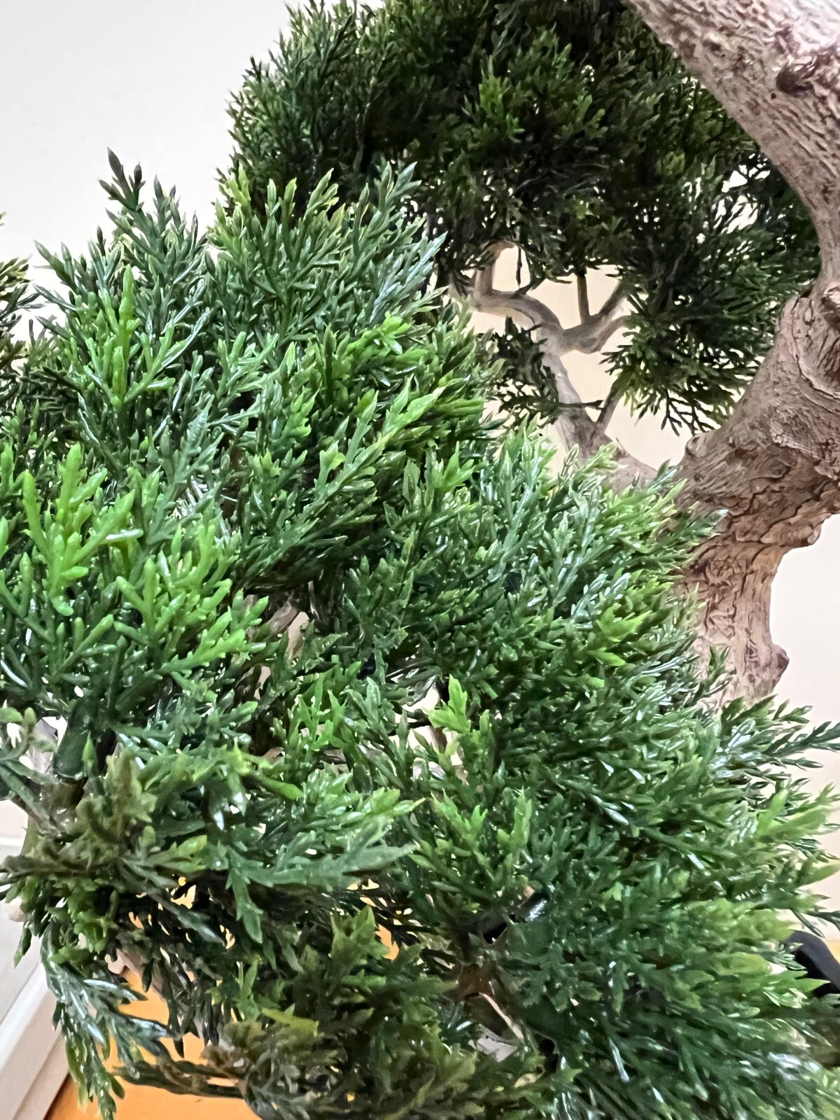 Nearly Natural: Cedar Bonsai Tree, 36-Inch, Green (SKU: 4100)