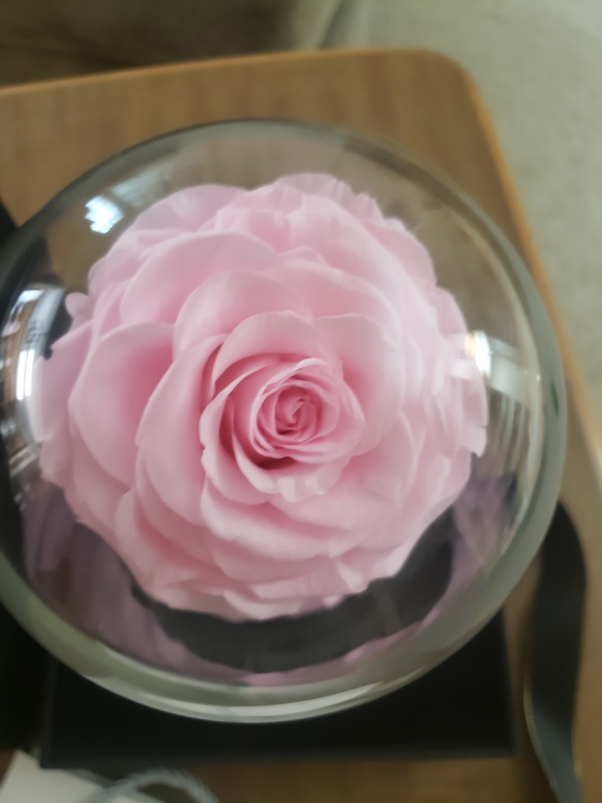 Livoccur Preserved Pink ROSE in Glass DOME 4.7″×4.7″×7.5″ Stand Gift of Love