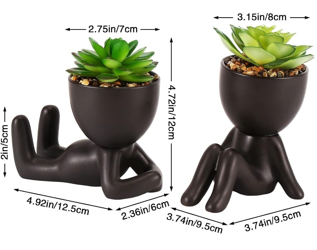 Fake Succulents, Artificial Plants Succulents in Black Modern Human Shaped