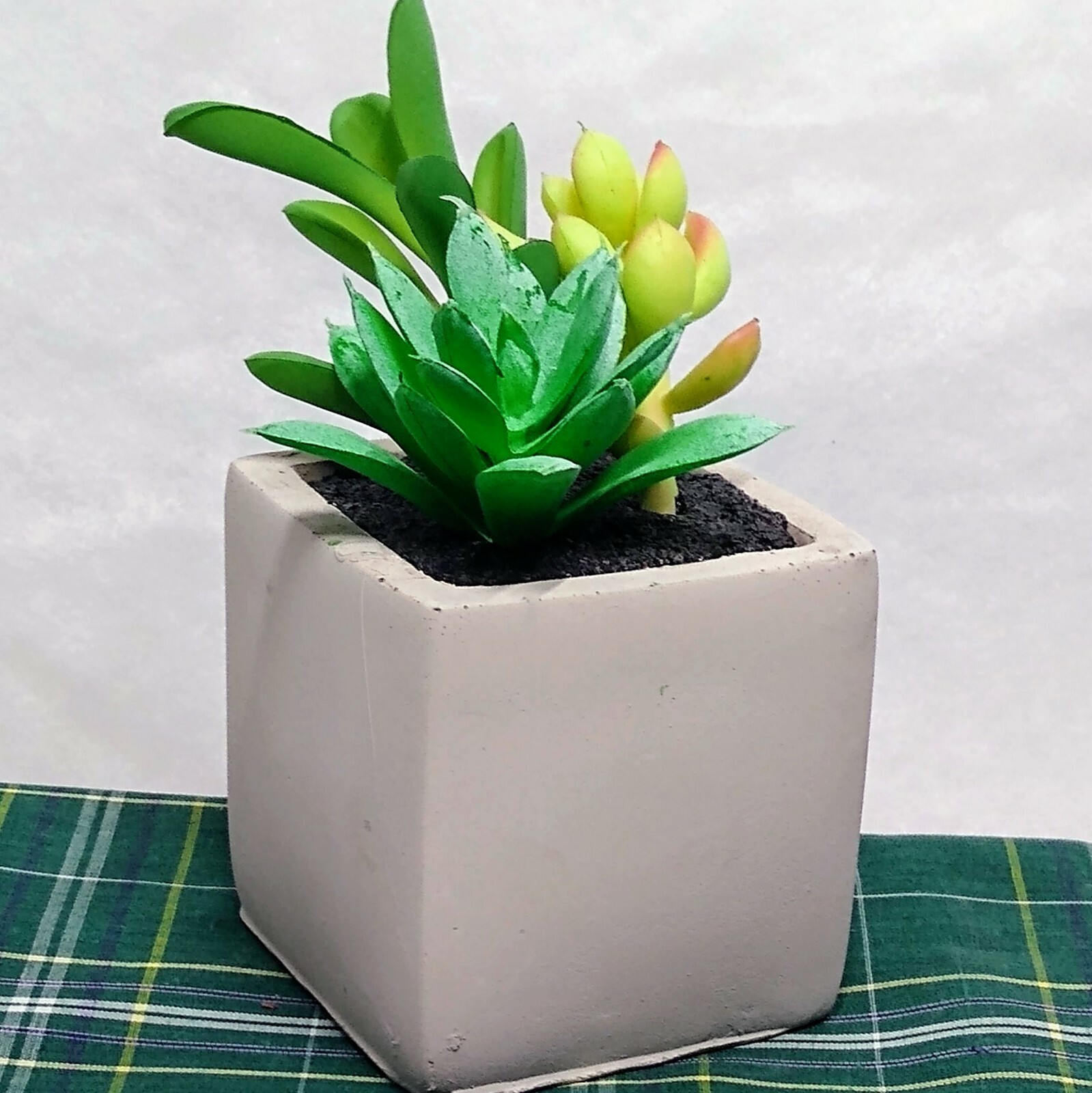 🌼 4.25″ & “5” Artificial Mixed Echeveria Succulents in Cement Pots – Set of 2