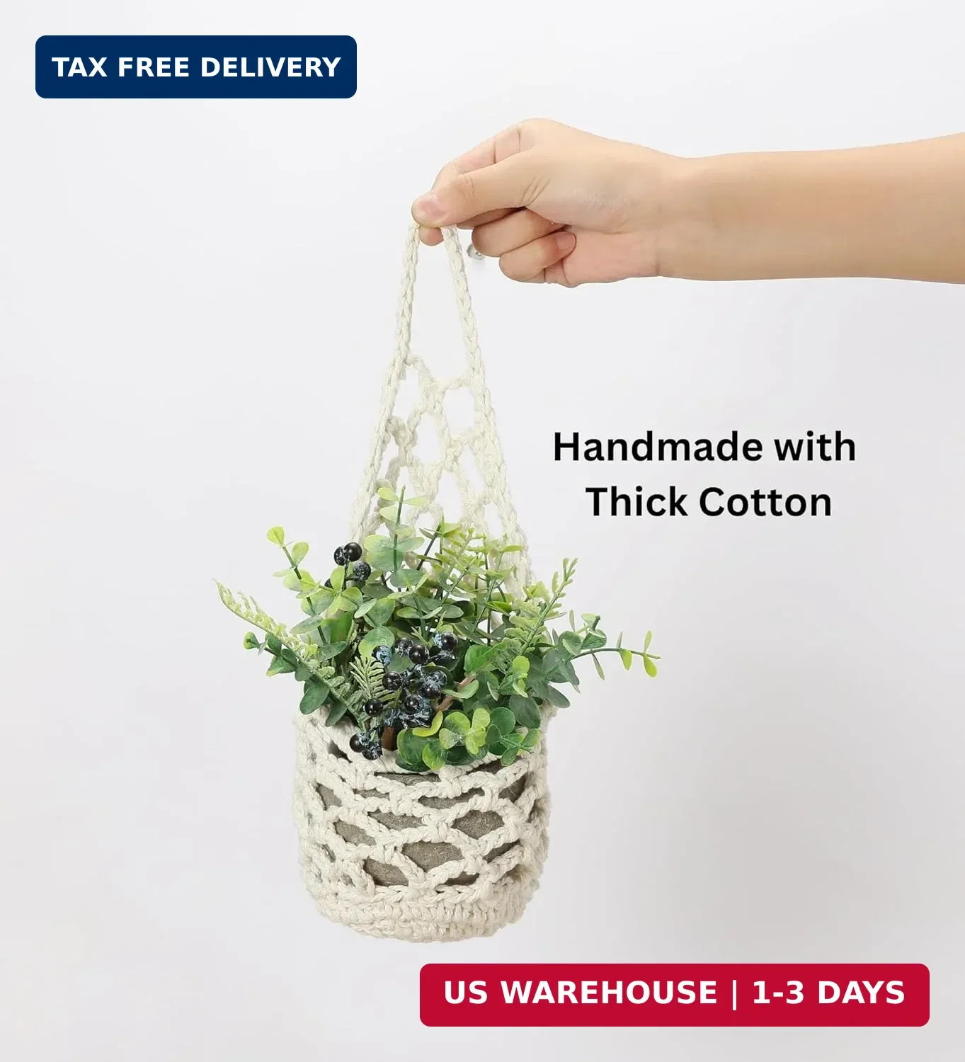 3 Packs Hanging Planters for Indoor Plants up to 4 in., Wall Plant Holder | Plan