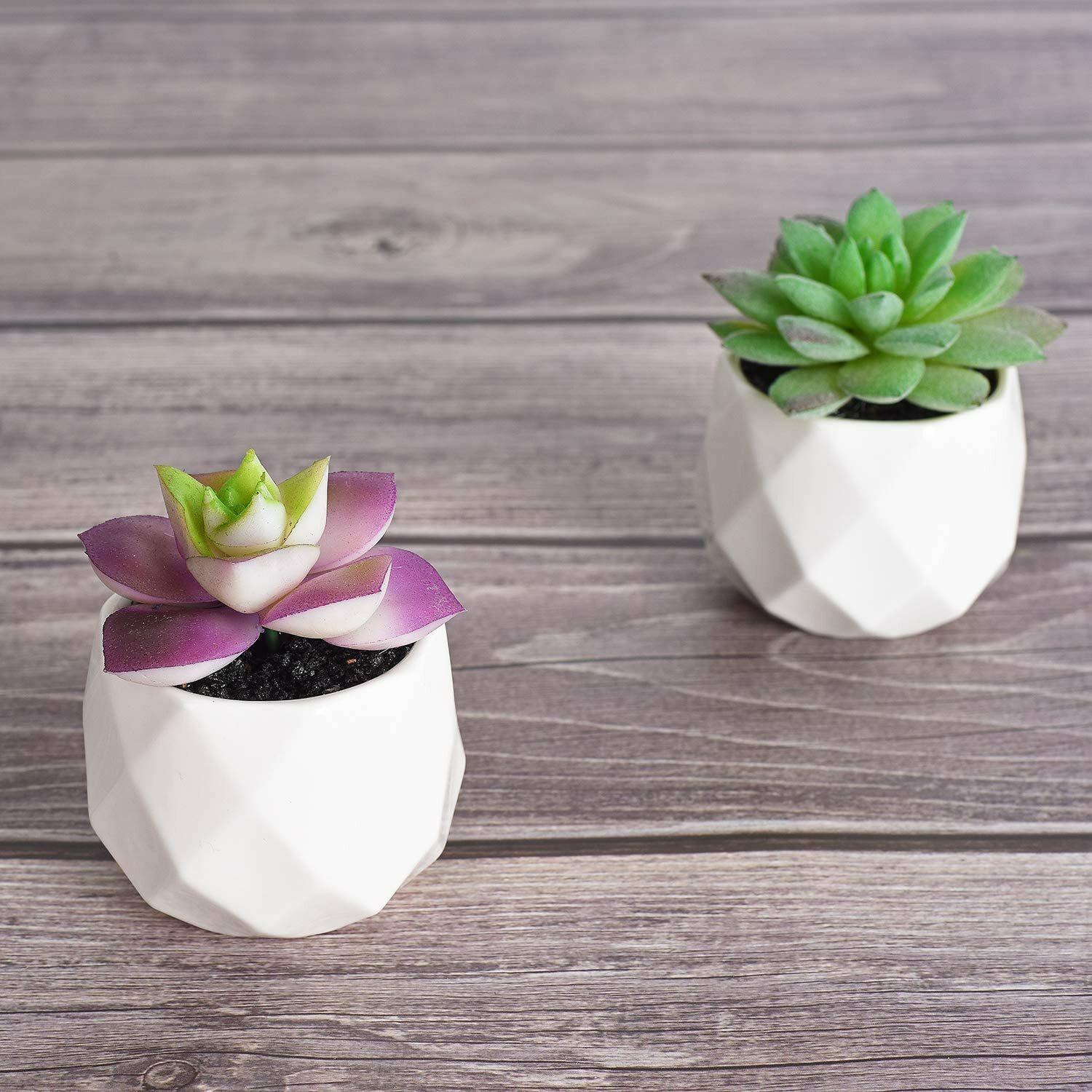 6 Pack Artificial Succulent Plants Lvydec Mini-Sized Fake Succulent Plants (E)