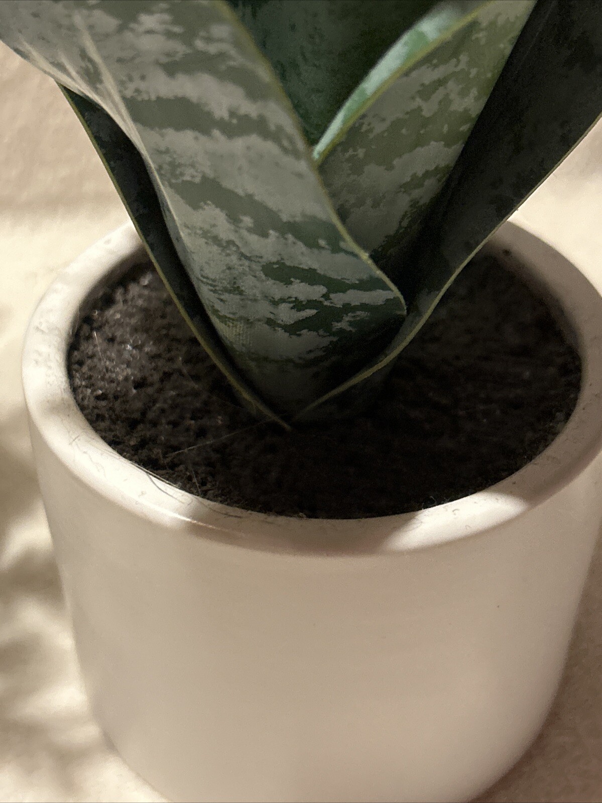 5 Faux Potted Houseplants Threshold 3-4 Inch Pots