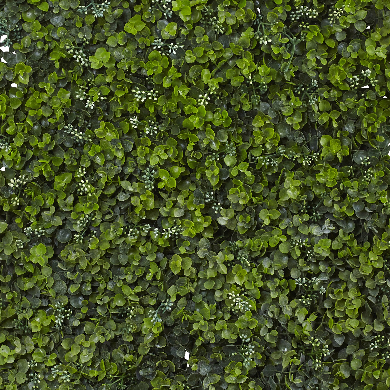 Nearly Natural 12″ x 12″ Decorative Eucalyptus Mat (Set of 8) in Green
