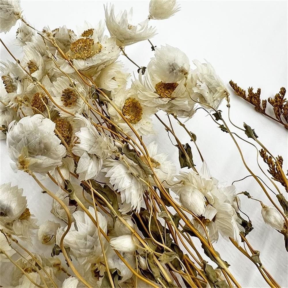 Pemberly Row 10-inch High Real Preserved Mixed Bouquets in Small Size