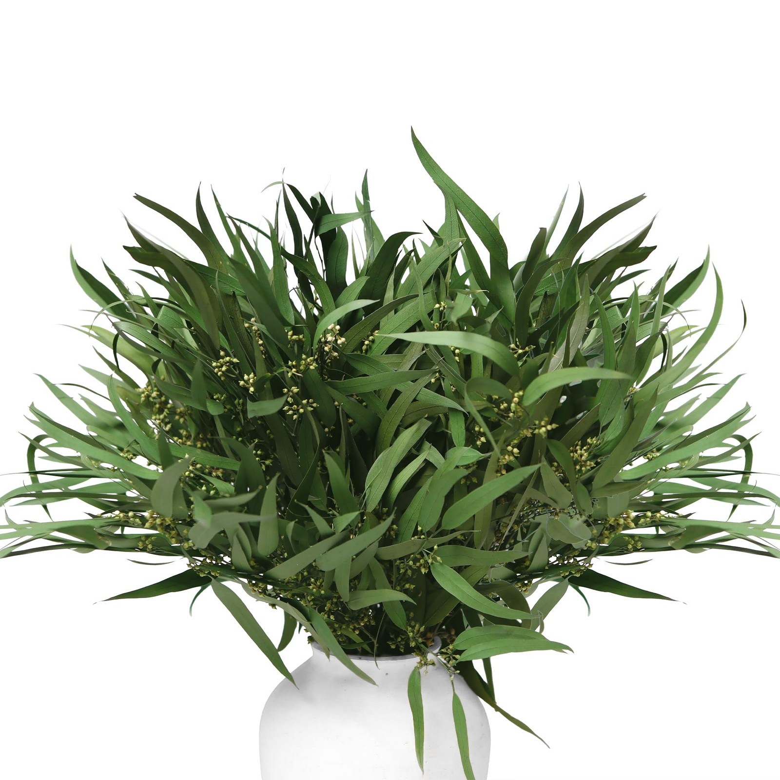 17” Real Dried Seeded Eucalyptus Stems for Shower, Preserved Natural Eucalyptus