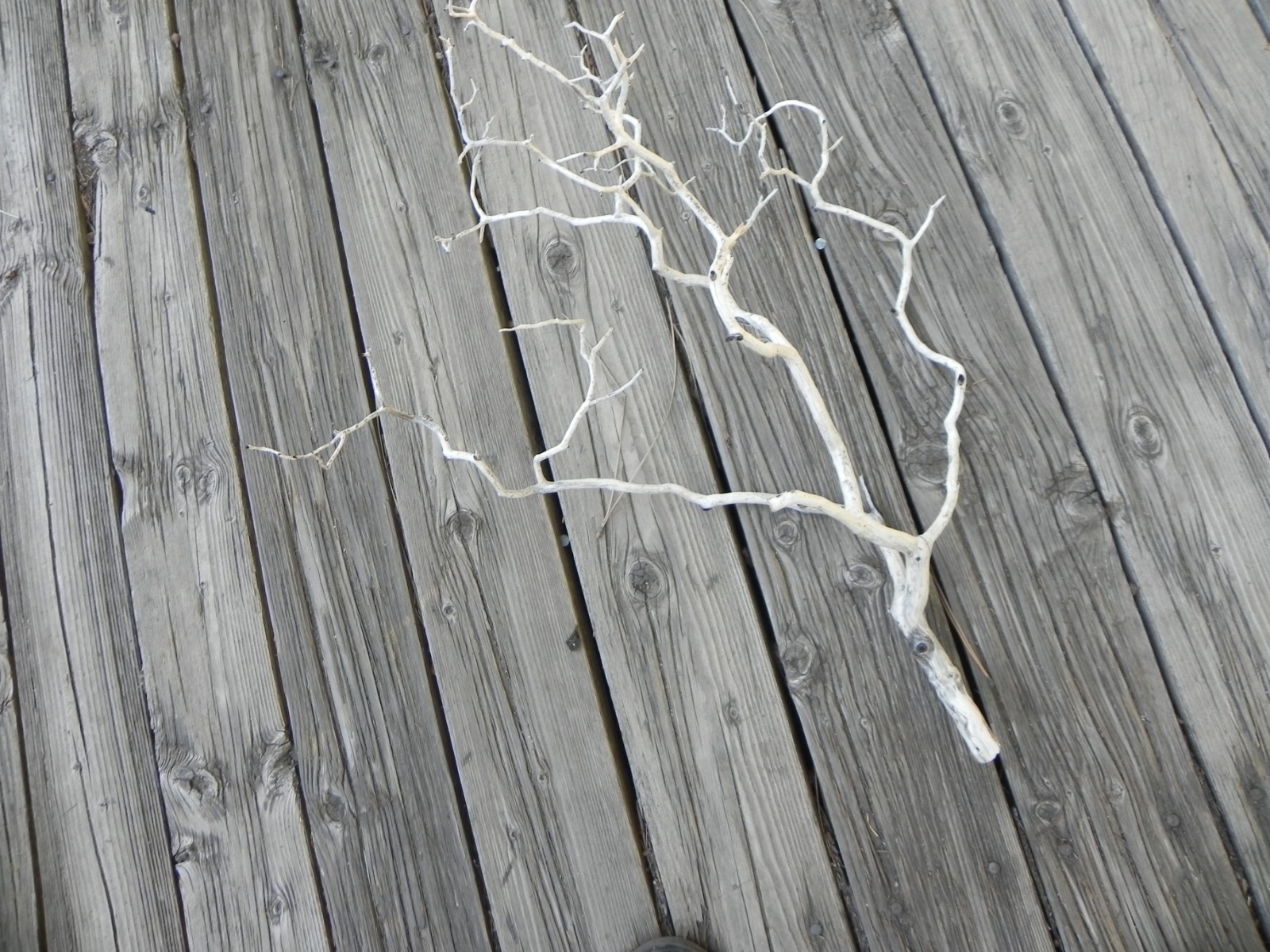 Twisty natural floral design home decor manzanita 24”x20