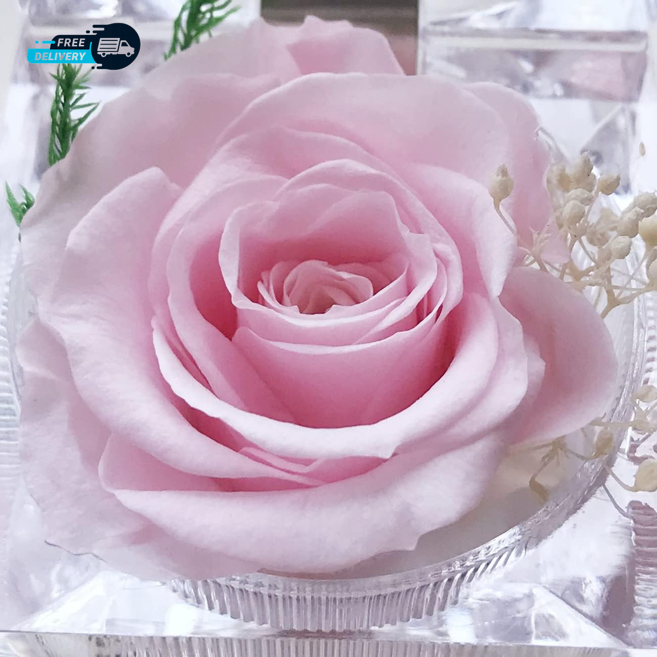 Preserved Rose Real Forever Rose in Mini Clear Ring Box, Eternal Flower Rose Gif