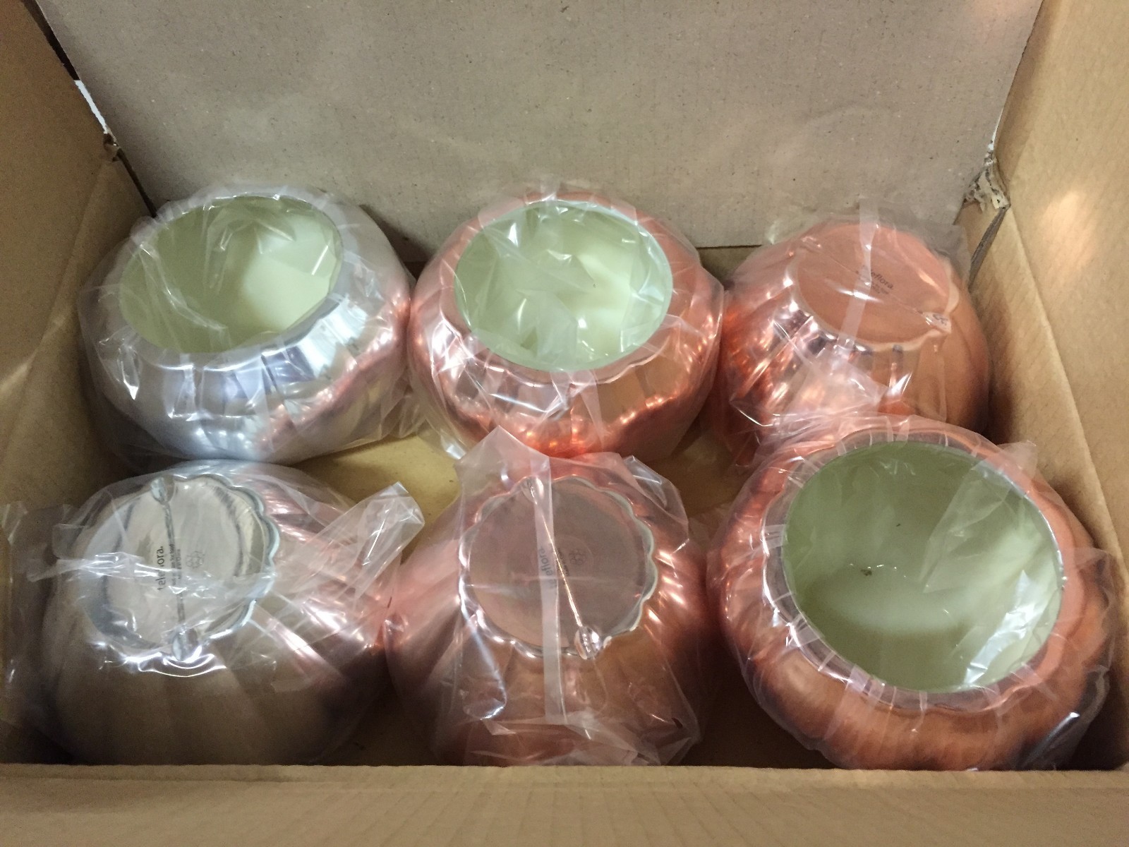 Case of 12 TELEFLORA PLASTIC JARDINIERE MIXED COLORS vase flower 11J400