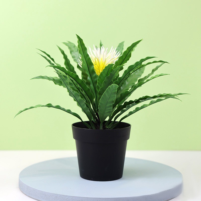 Potted Green Bonsai Plants Home Garden Small Tree Ornament Artificial Grass