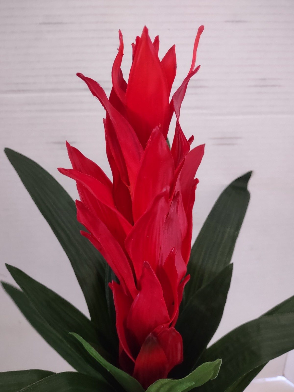 Artificial Bromeliad plant. silk flower floral arrangements
