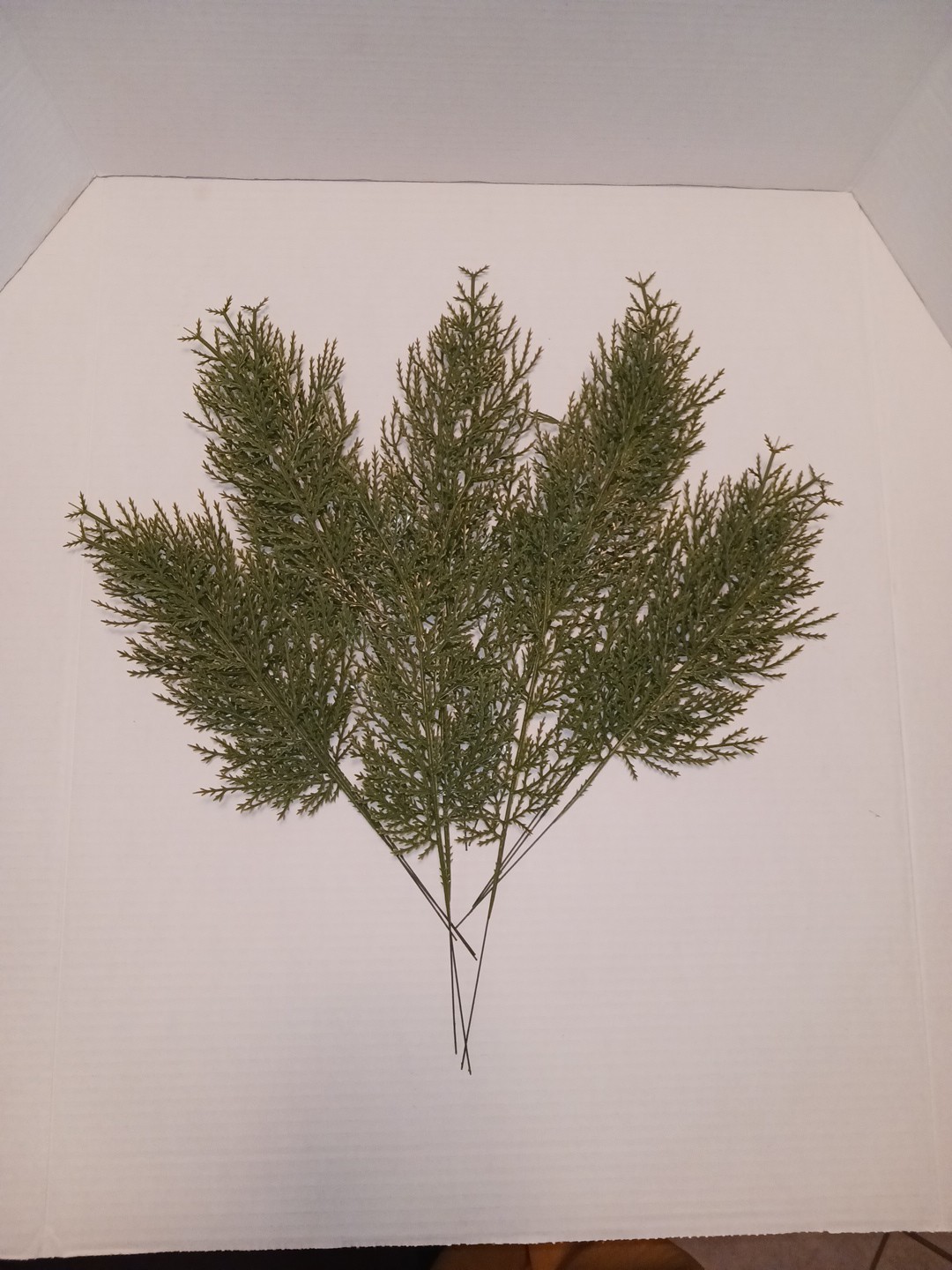Artificial Cedar Faux Spray Branches Twig Picks Plastic Greenery x 20 Stems
