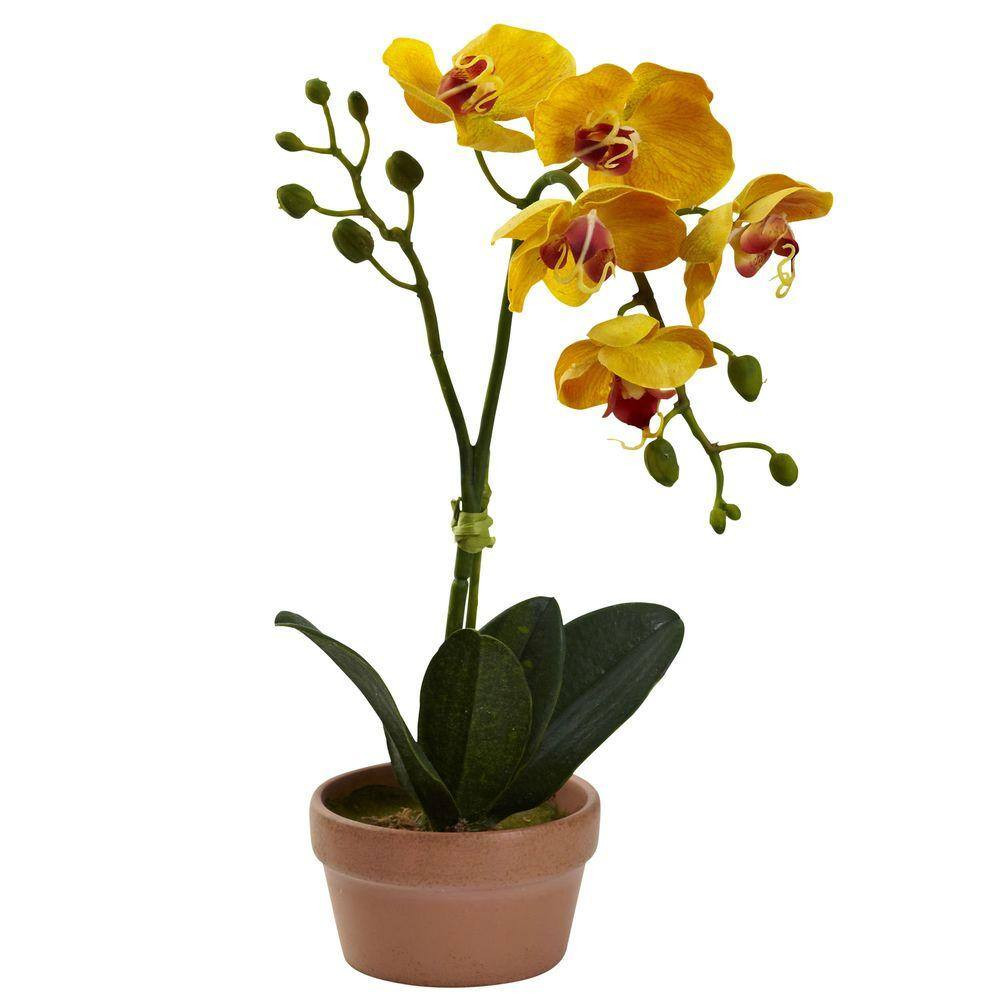 Artificial Phalaenopsis Orchid with Clay Vase (Set of 4)